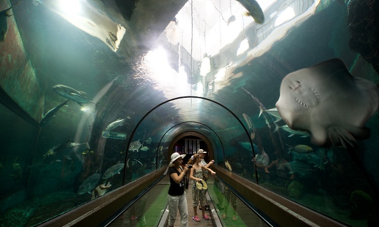 Oceanarium in Phuket