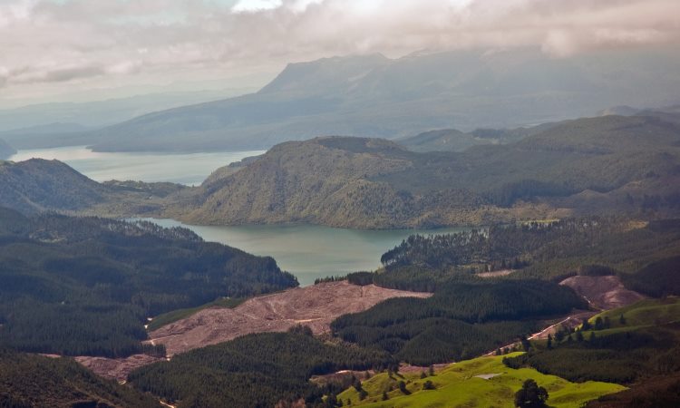 Озеро Роторуа в Новой Зеландии