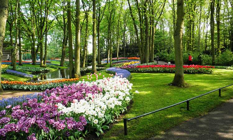 Парк цветов Кекенхов