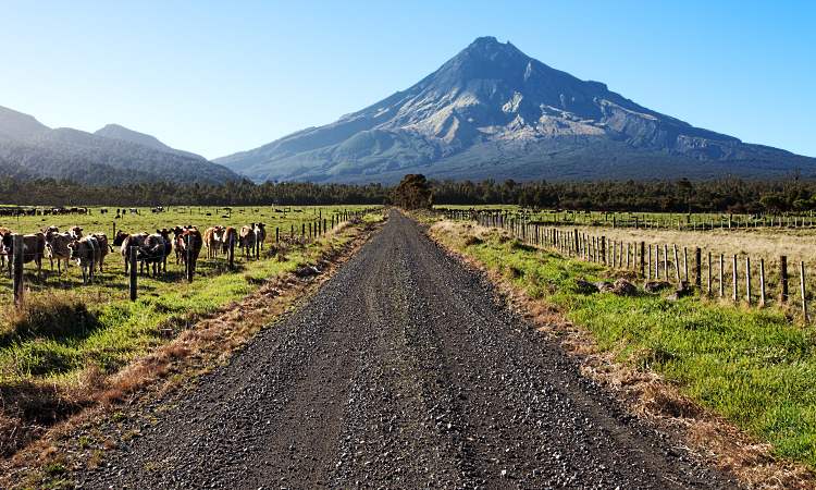 New Zealand