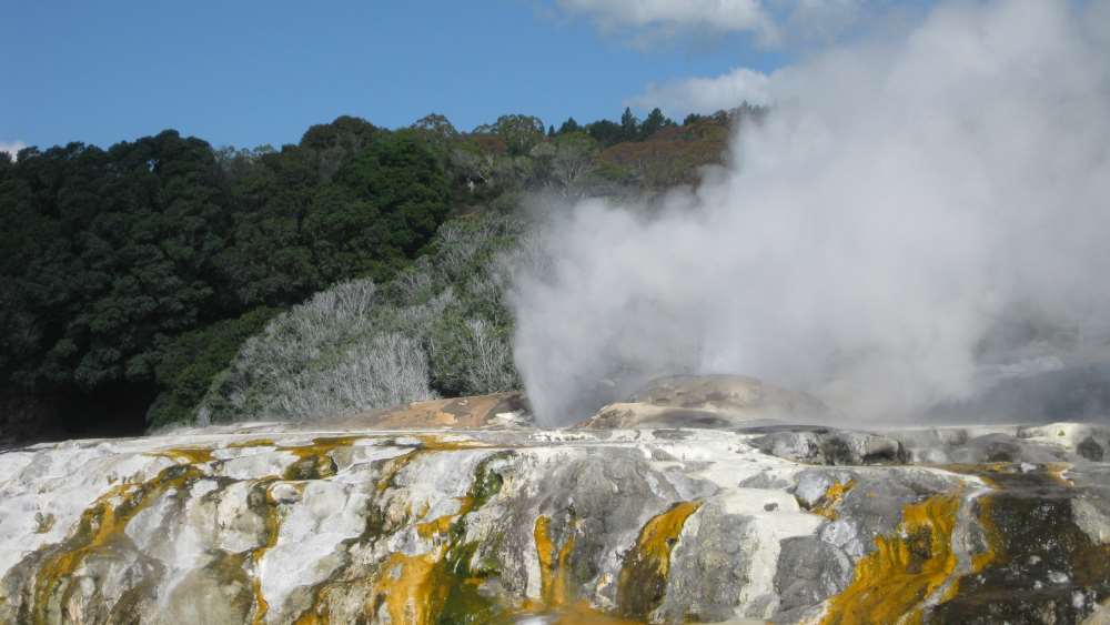 Attractions in Rotorua