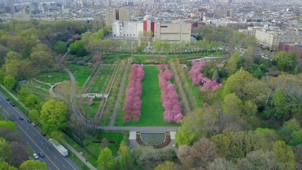 Бруклинский ботанический сад в Нью-Йорке