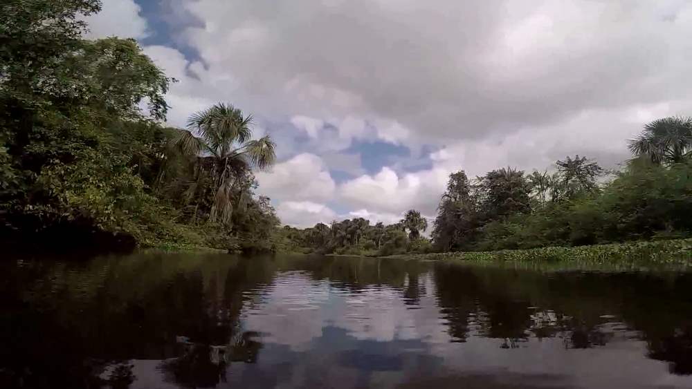 Venezuela - Orinoco River Delta