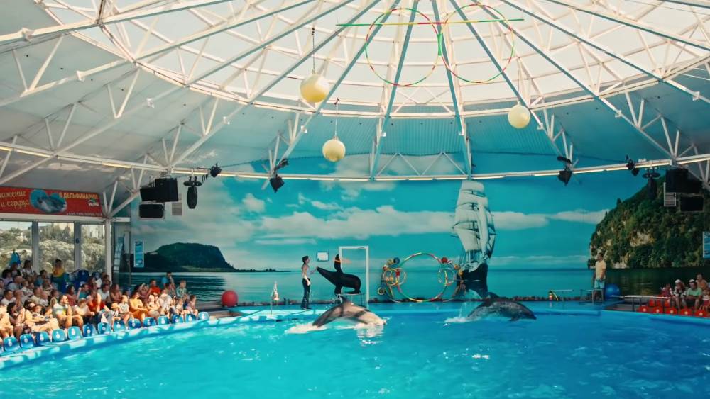 The most interesting places in Belarus - Dolphinarium 