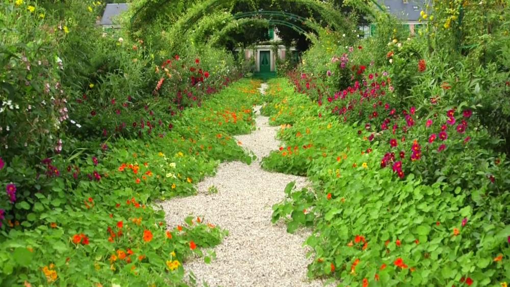 Claude Monet's garden in Giverny - France