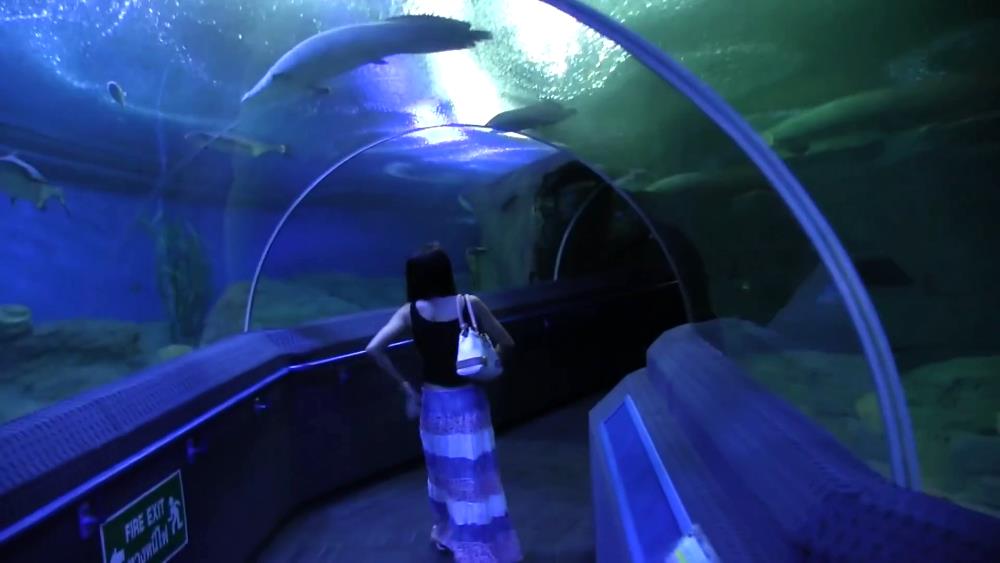 Underwater World Oceanarium in Pattaya - photo, description
