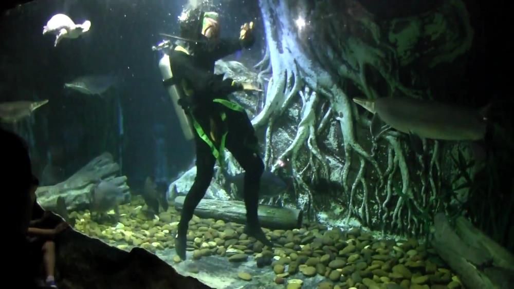 Pattaya Underwater World Oceanarium - photo