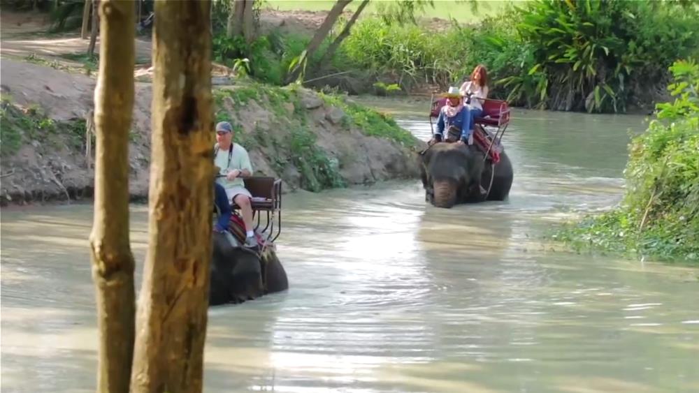 Elephant Village near Pattaya