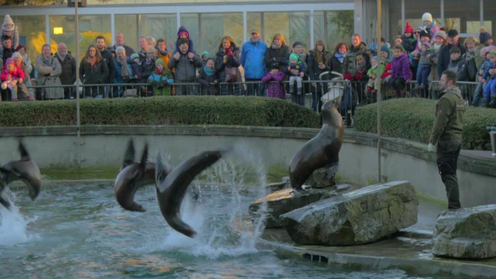 Кельнский зоопарк - интересное место в Кёльне, которое стоит посетить и посмотреть