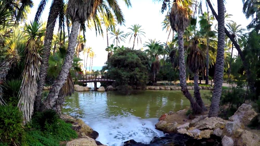 El Palmeral Park in Alicante - a natural landmark