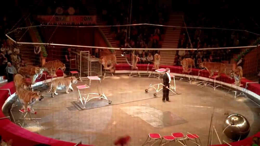 Gomel Circus in the regional center of Belarus
