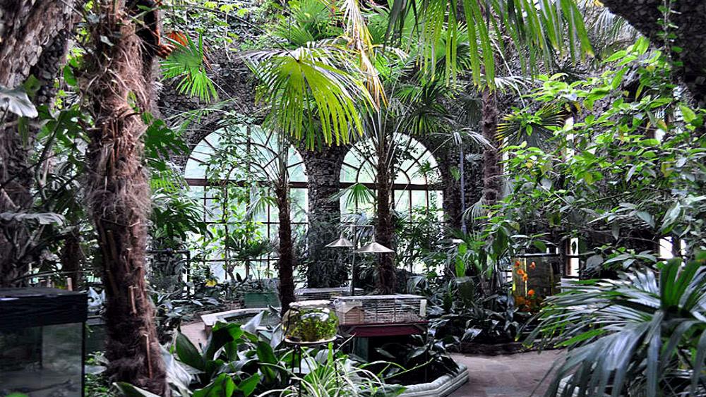The Winter Garden is an interesting place in Gomel
