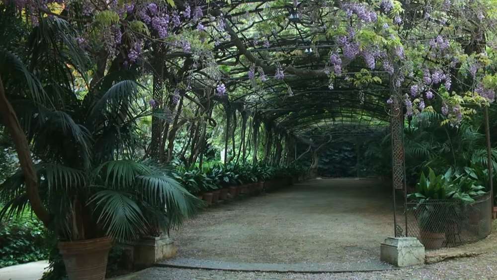 Ботанический сад Ла Консепьон - Малага