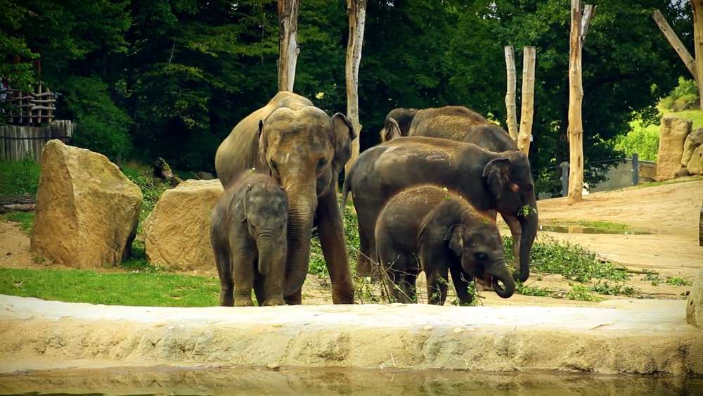 Зоопарк в Праге - отличное место для посещения с детьми