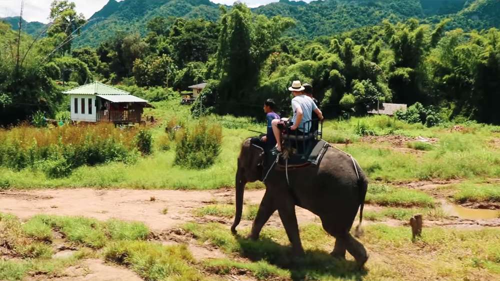 В программу маршрута по реке Квай входит посещение слоновьей фермы
