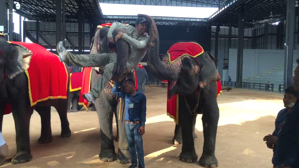 Elephant Show at Nong Nooch