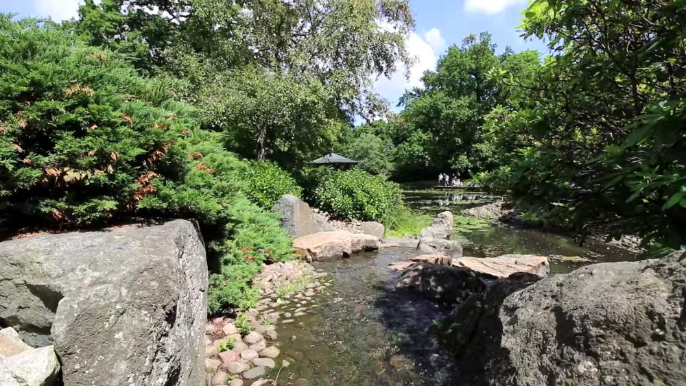 Японский сад - Вроцлав: достопримечательности, фото