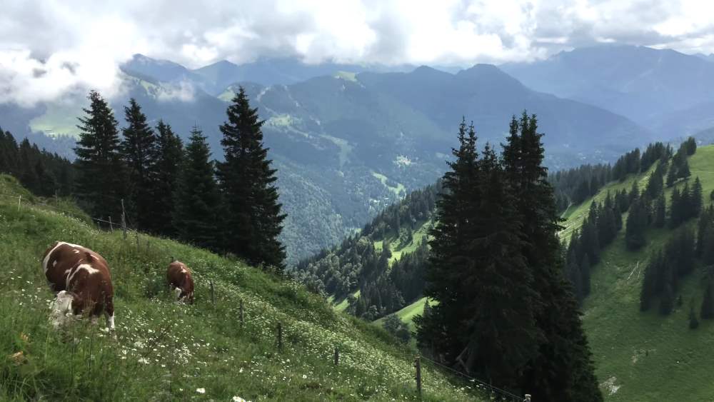 Альпы - природная достопримечательность Баварии