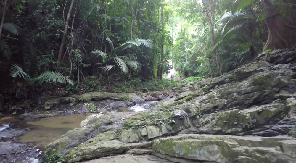 Khao Phanombencha National Park is located in Krabi