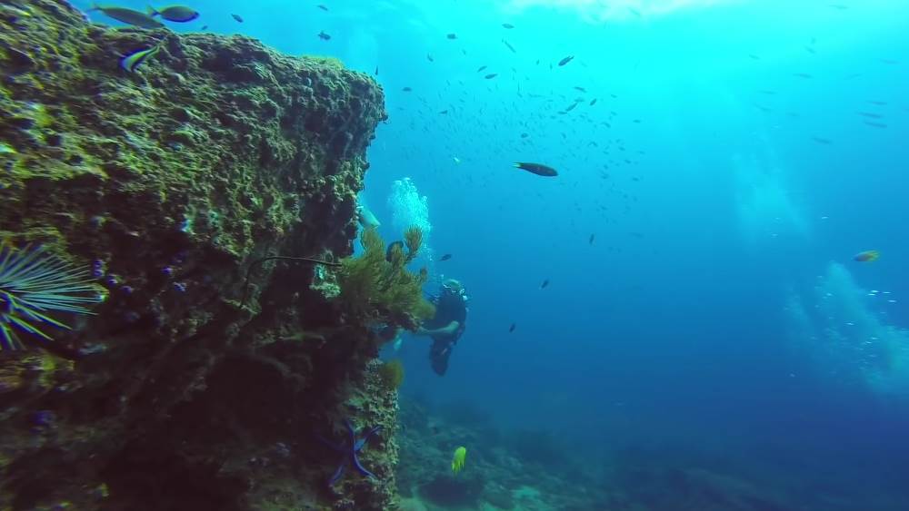 Underwater diving in Phi Phi Islands