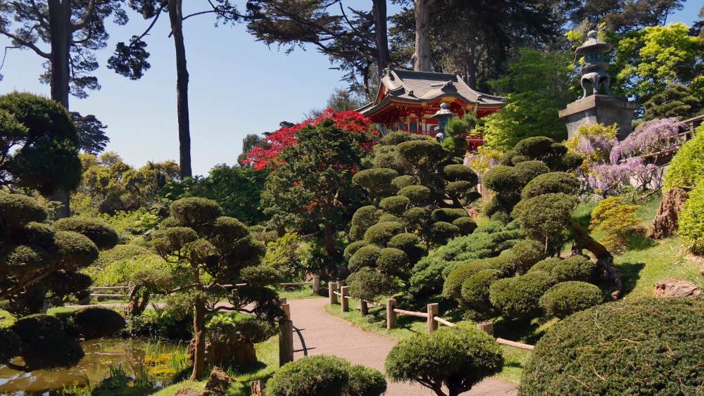 The Japanese Garden, a natural landmark in San Francisco, California