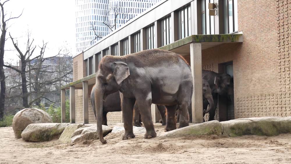 Berlin Zoo is one of Europe's largest zoos