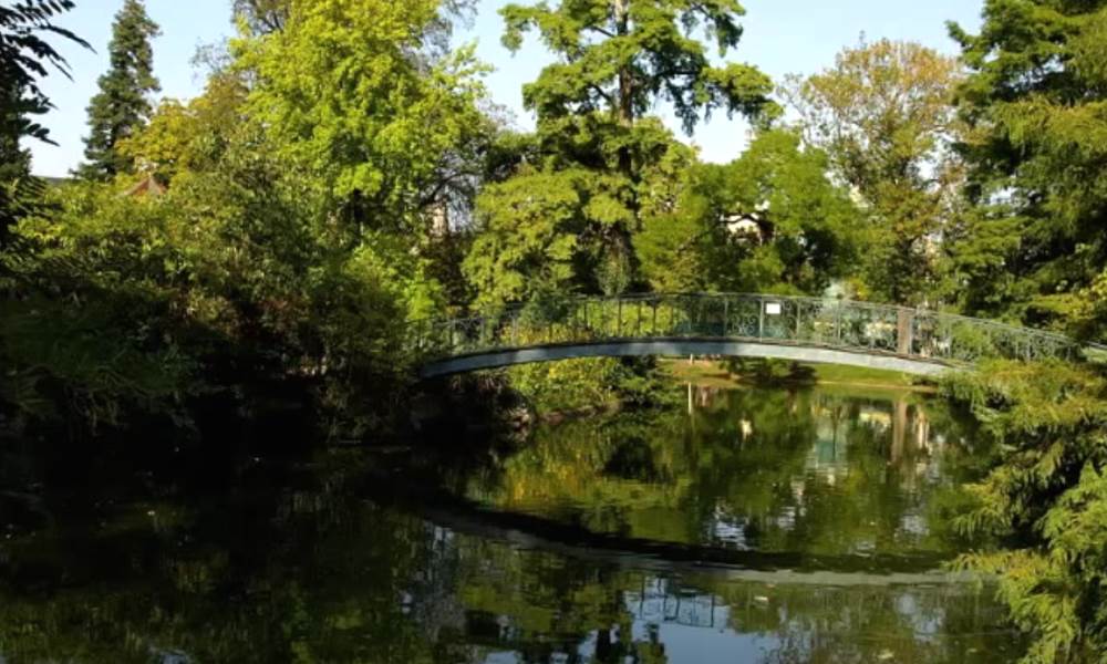 Ботанический сад города Бордо (Франция)