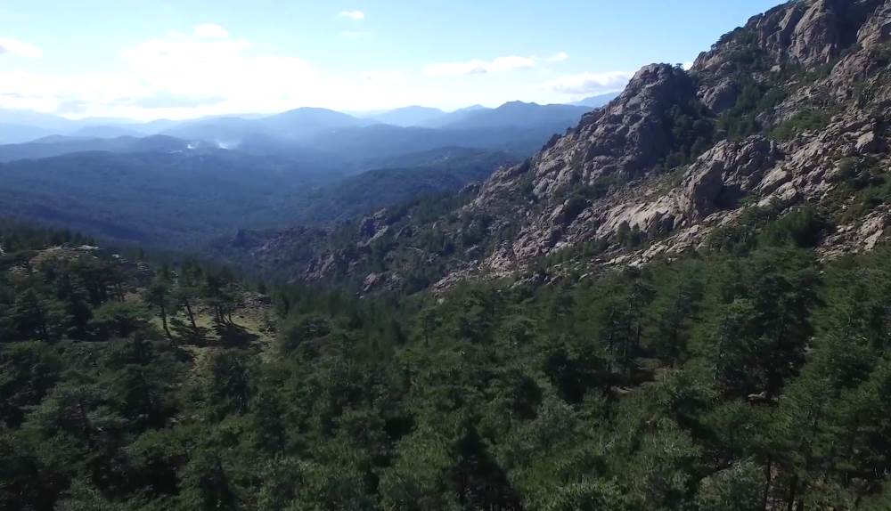 Bavella forest - a natural landmark of the island of Corsica