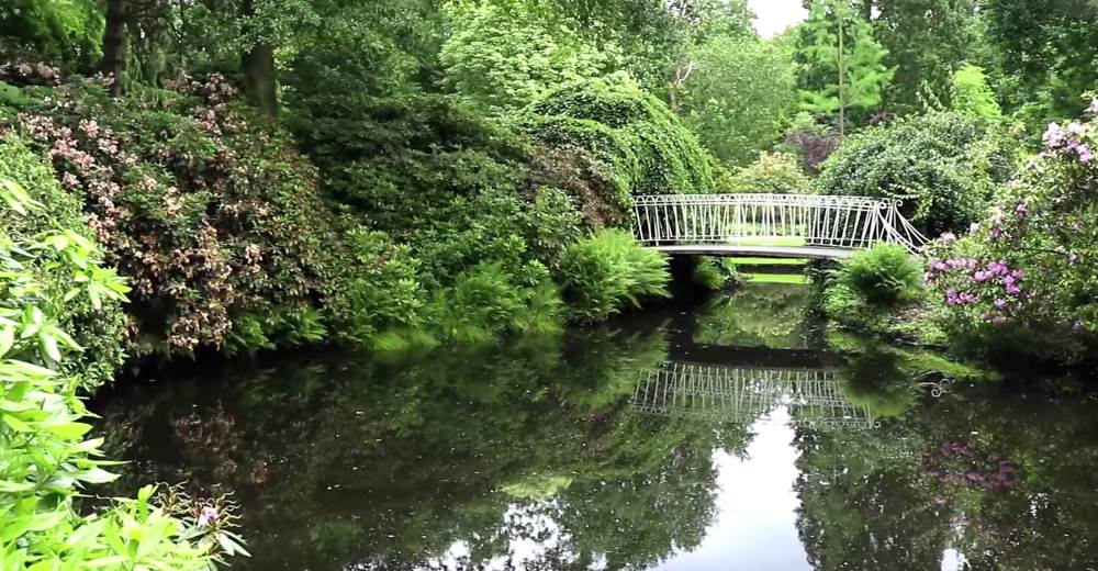 Дендрологический парк Тромпенбург в Ротердаме