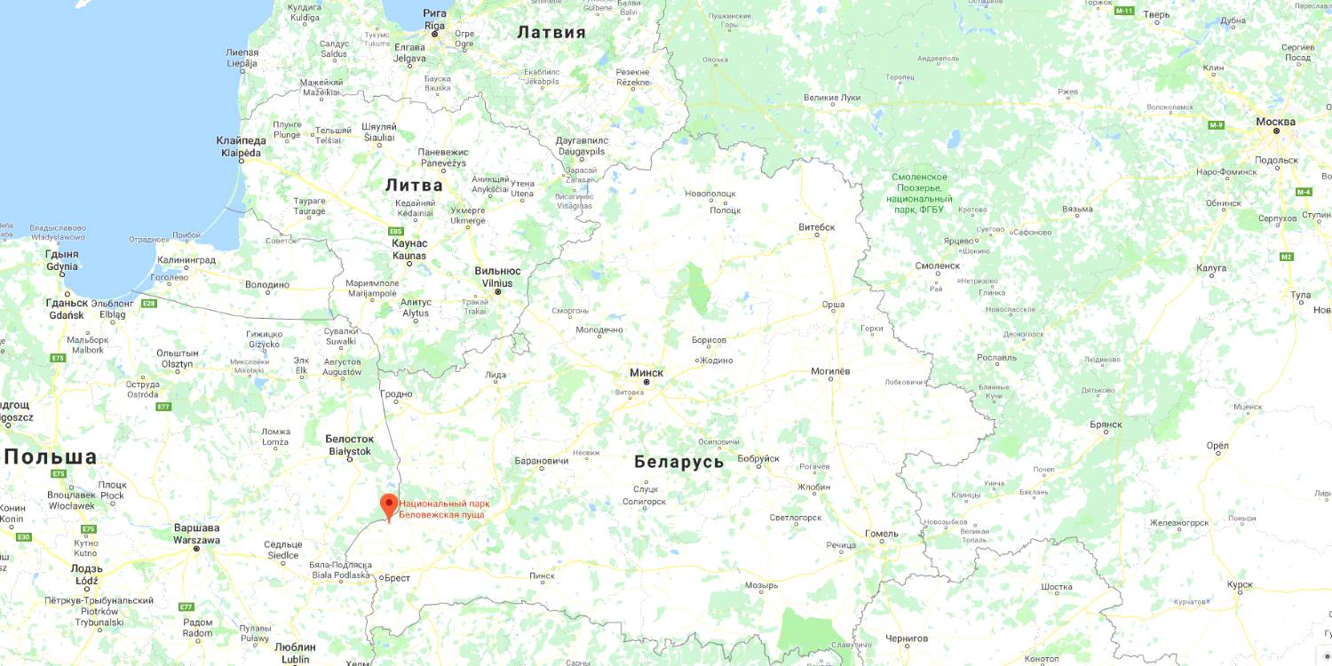 Belovezhskaya Pushcha on the map of Belarus and the world