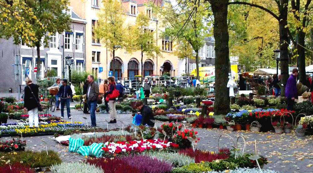 Utrecht - Janskerkhof Flower Market