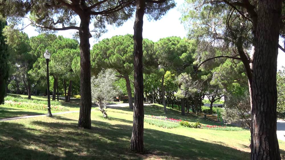 Сады Монжуика в Барселоне
