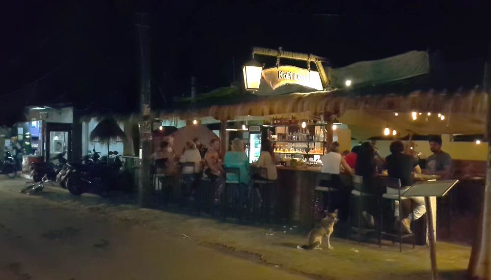 Palolem Beach Cafe - Goa