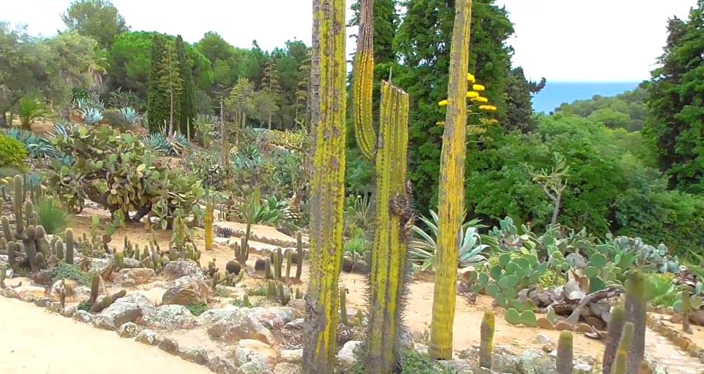 Сад Пинья-де-Роса - достопримечательность Бланеса в Испании
