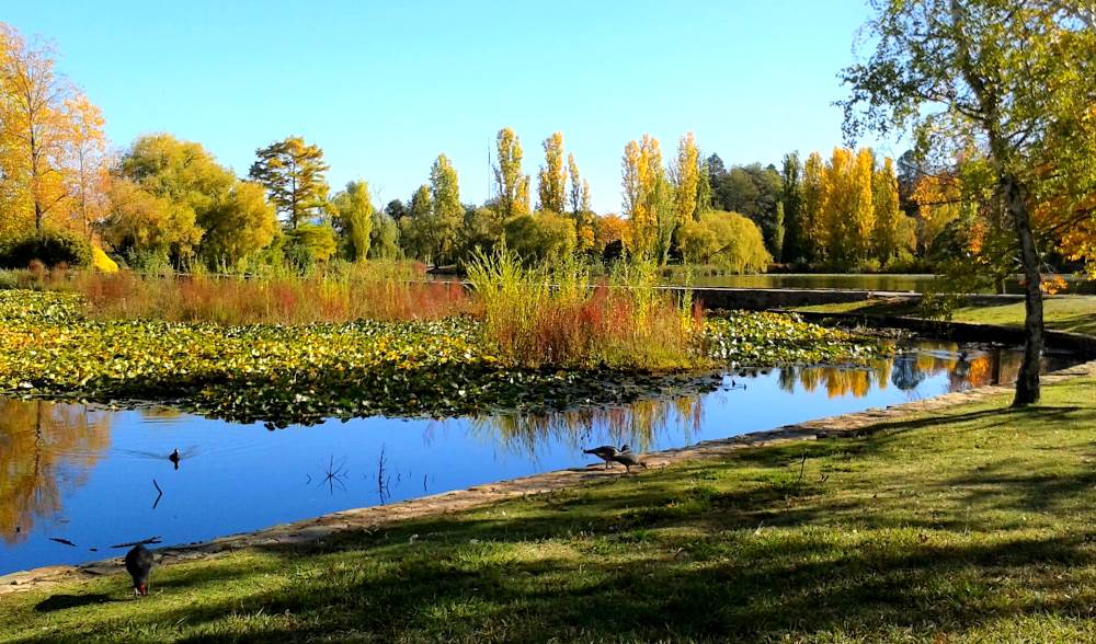 Commonwealth Park in Canberra