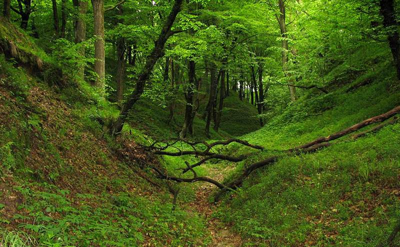 Mozyr ravines - a natural attraction of Mozyr in Belarus