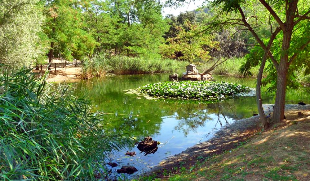 Ботанический сад Са Риера в Тосса-де-Мар