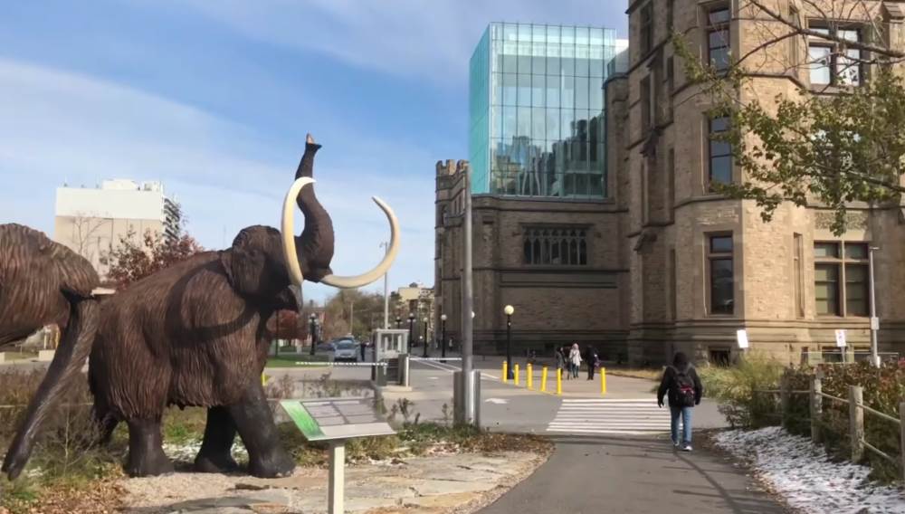 Nature Museum in Ottawa, Canada