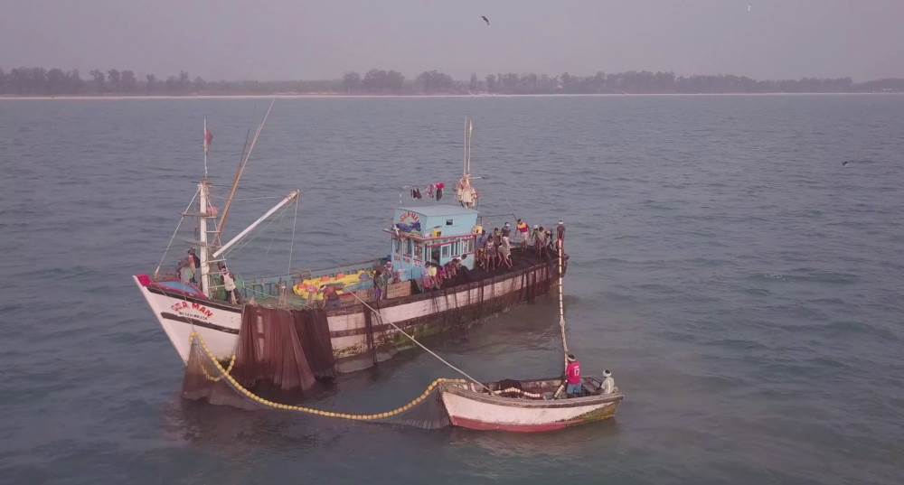 Fishing in Goa, India
