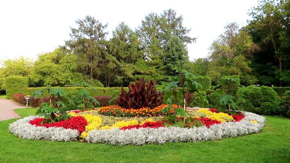 Ботанический сад, Минск