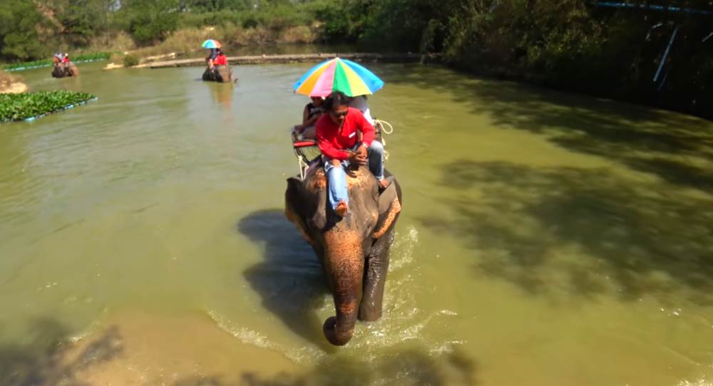Elephant Village in Pattaya - Riding