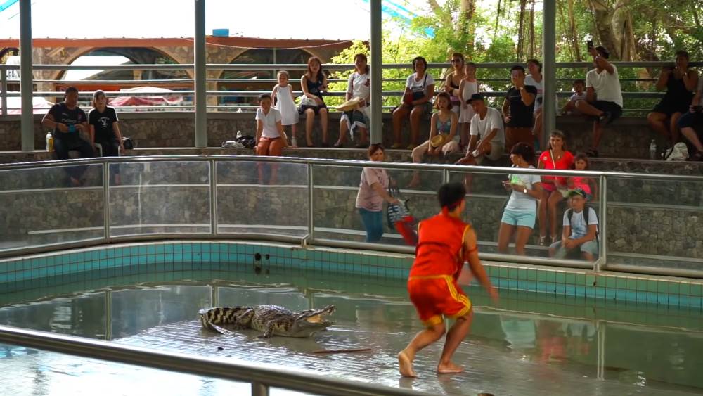 Crocodile Farm near Pattaya, Thailand