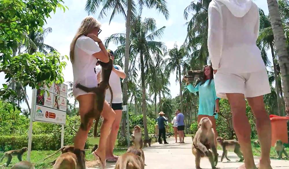 Monkey Island - the northern islands of Nha Trang