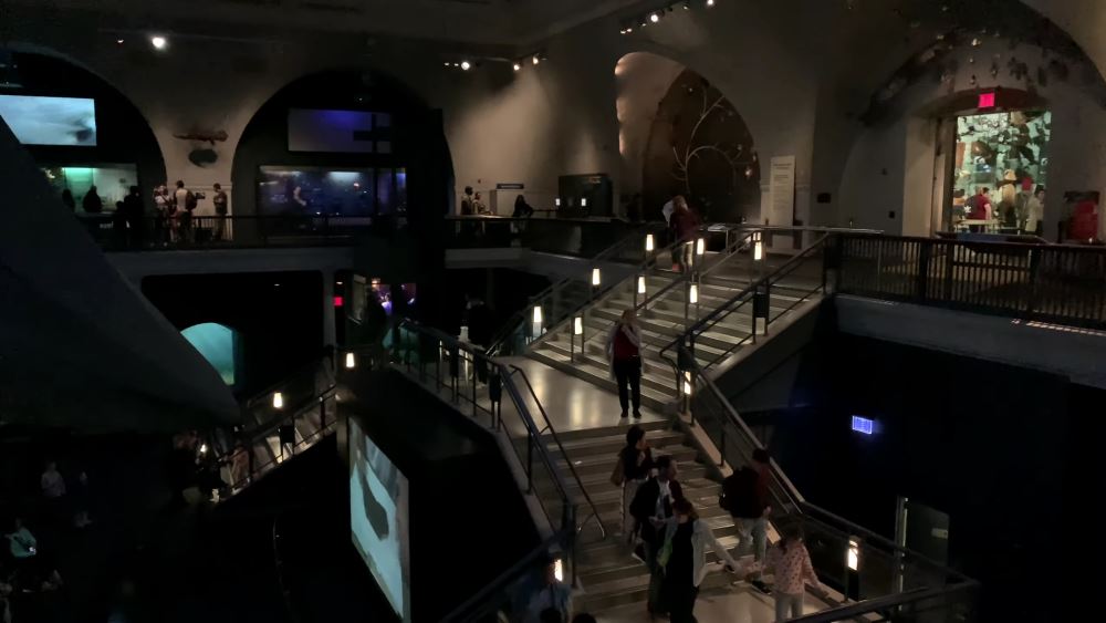 A New York City landmark - the American Museum of Natural History