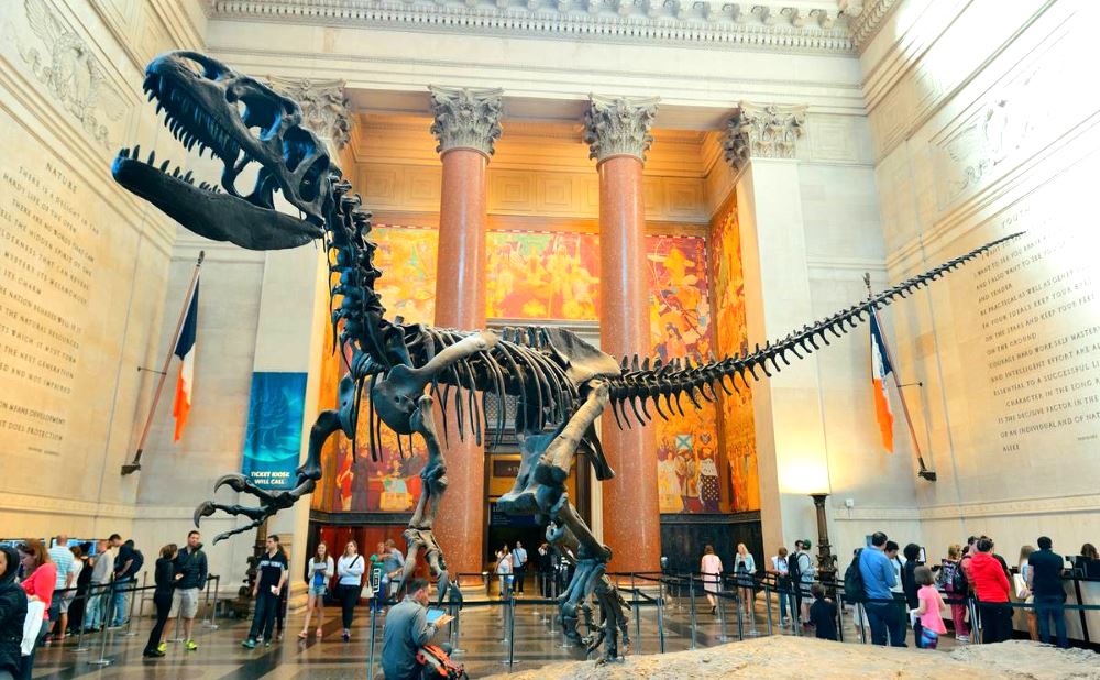 Американский музей естественной истории в Нью-Йорке