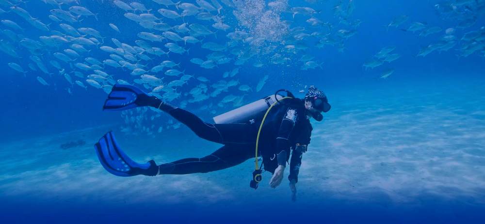 Diving in South and North Goa