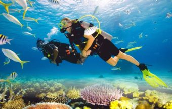 The underwater world of Goa with diving