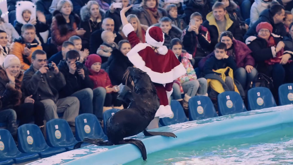 Dolphinarium in Minsk near the zoo