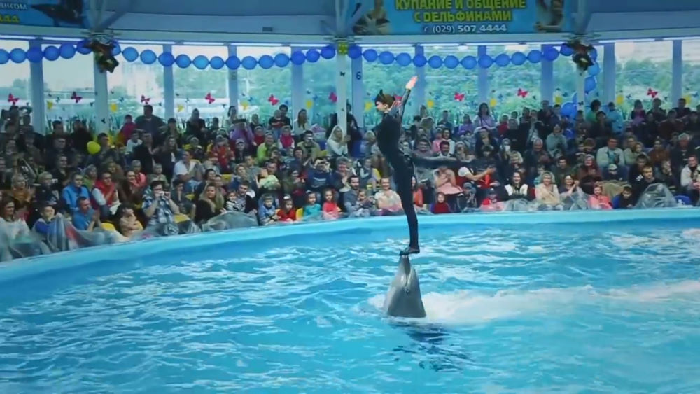 Nemo Dolphinarium - Minsk (Belarus)