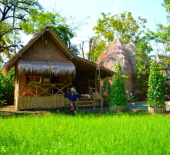 Phuket Botanic Garden - Bamboo Hut